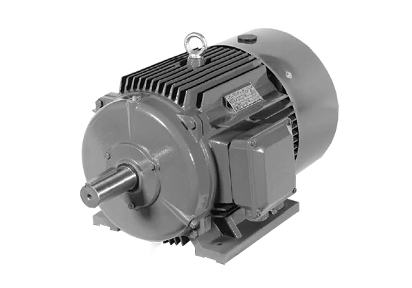 YE2系列低壓鑄鐵高效三相異步感應(yīng)電動(dòng)機(jī)