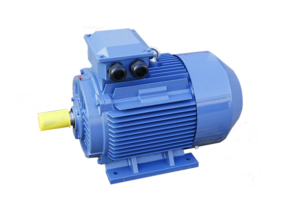 YE2系列低壓鑄鐵高效三相異步感應(yīng)電動(dòng)機(jī)