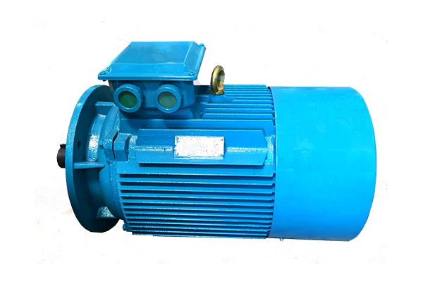 YE2系列低壓鑄鐵高效三相異步感應(yīng)電動(dòng)機(jī)