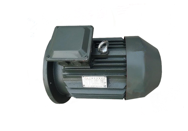 YE2系列低壓鑄鐵高效三相異步感應(yīng)電動(dòng)機(jī)