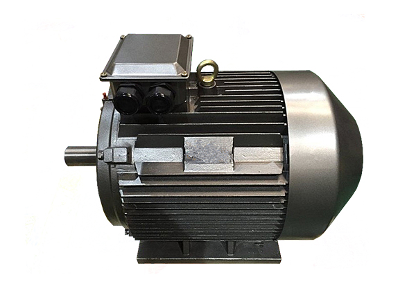 YE2系列低壓鑄鐵高效三相異步感應(yīng)電動(dòng)機(jī)