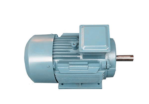 YE2系列低壓鑄鐵高效三相異步感應(yīng)電動(dòng)機(jī)