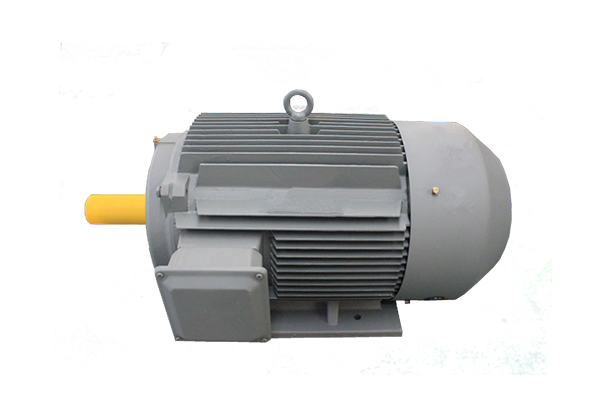 YE2系列低壓鑄鐵高效三相異步感應(yīng)電動(dòng)機(jī)