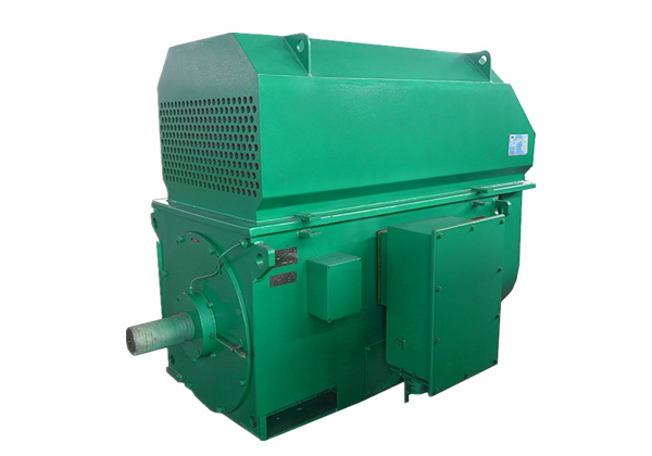 YRKK系列高壓三相異步繞線型轉(zhuǎn)子滑環(huán)式電動(dòng)機(jī)